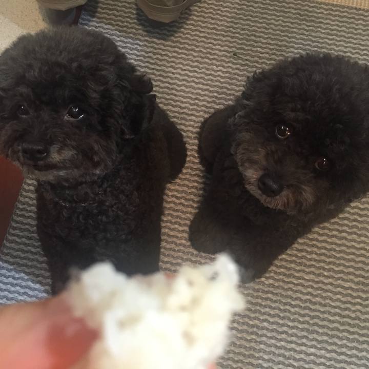 586d8141 04a2 4e53 9b6e 0e915e264ae2