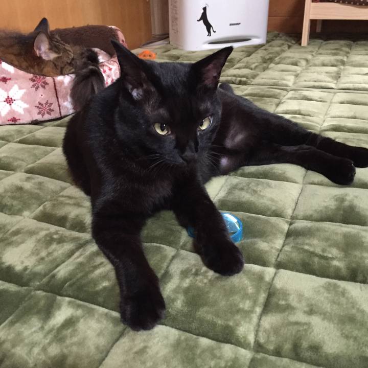 586d862f 9820 46e5 94d9 d2f24c5cf379