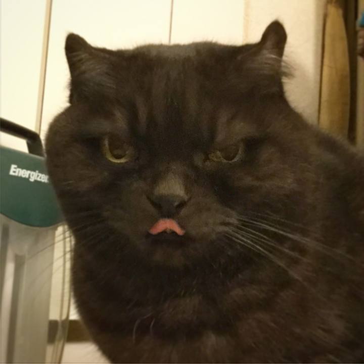 586db8e4 42b9 4e28 bb9f ec9689f681f0