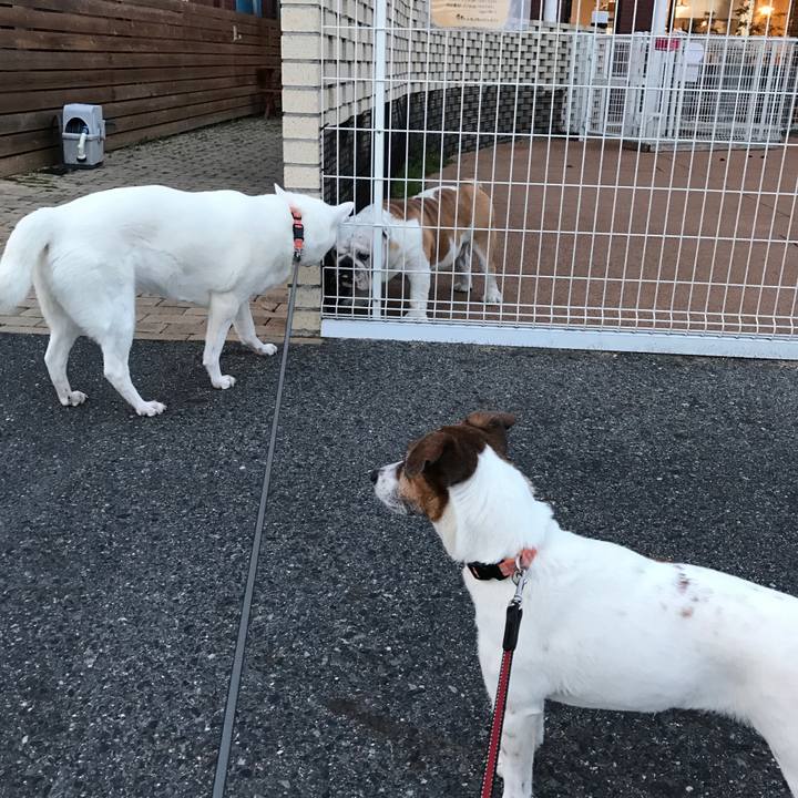 586dea93 37d8 479d b2f3 05ed1b8c4e05