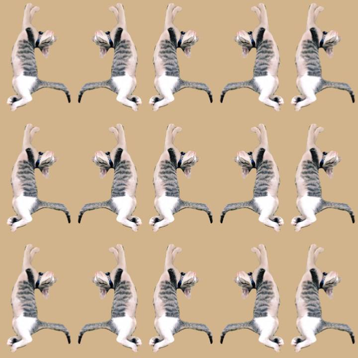 586dfb7e 44b3 409b bcc0 6cb97c4353d4