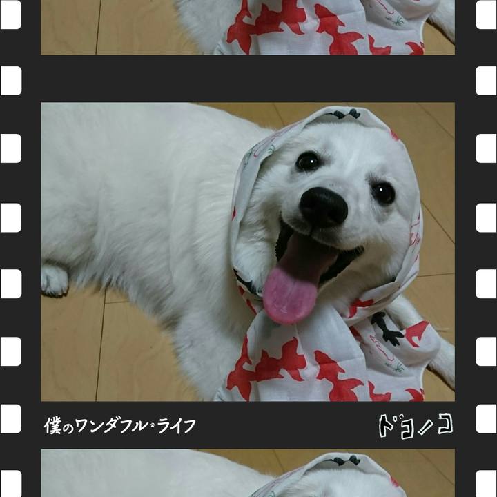 586f44b0 81d3 4e95 a669 af6a6e3d55f6