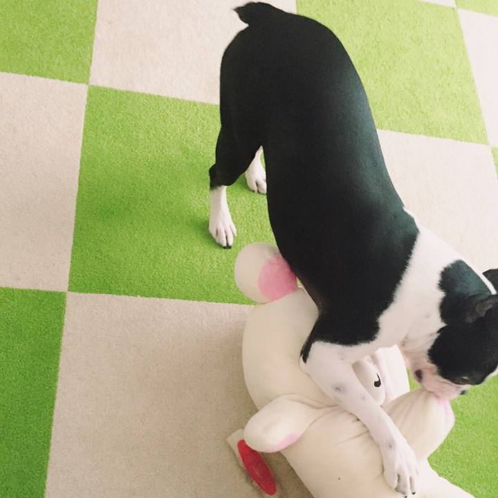 586fa75a 8cb8 4255 8270 d1c2bbc7668e