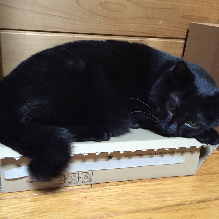 58713c69 59c4 4508 9f83 33cbf223d676