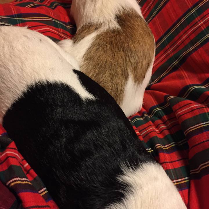 58713ec6 e902 49ac aaa6 96d2c90566a4