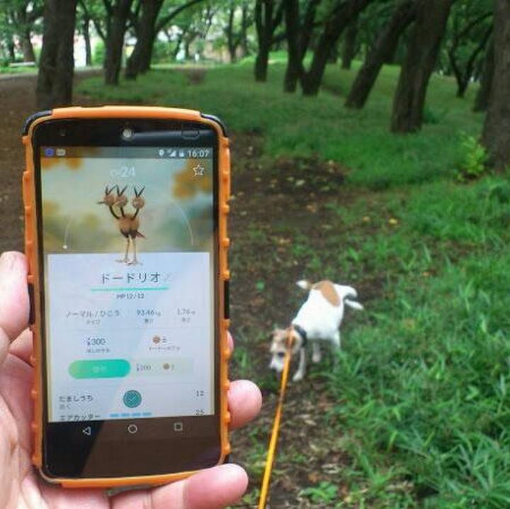 58717a91 6cc0 4401 81e0 58f44edb3fa6