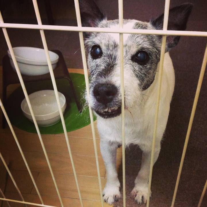 5871d77b 37fe 48dd 9372 fb239ce66392