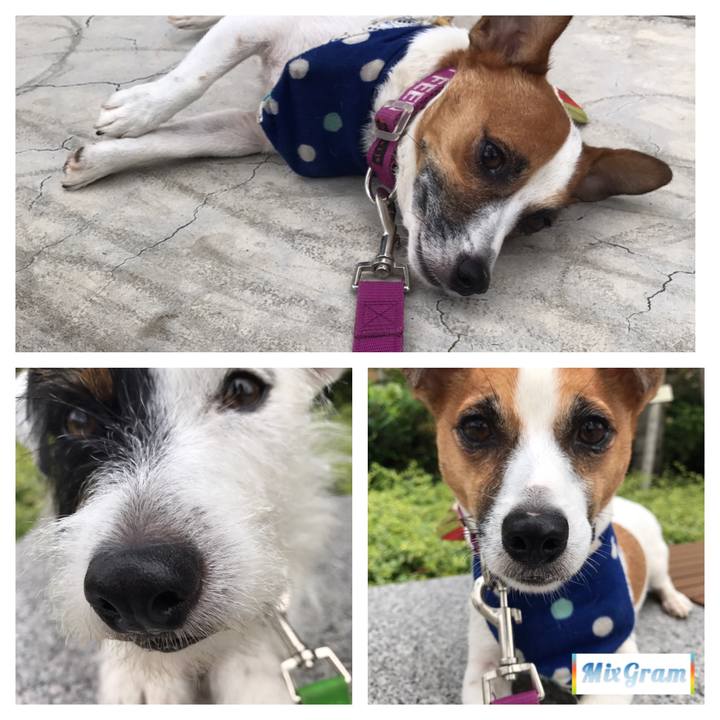 58722279 53ca 4651 a424 423bd76c7893