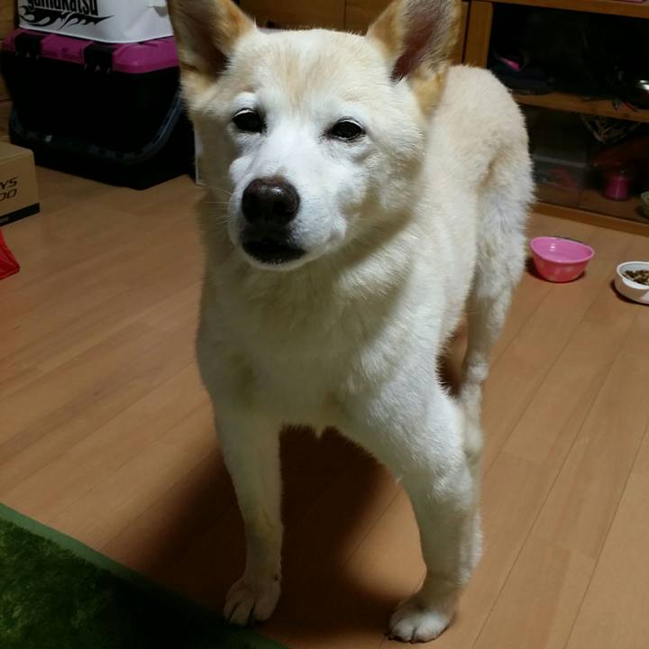 5873a429 3e09 4858 8edd 7e851b3ddf39