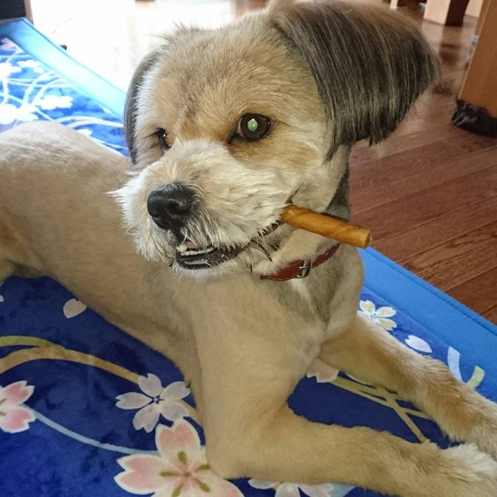 58741a09 8d81 45e8 a156 848e17cb12f3