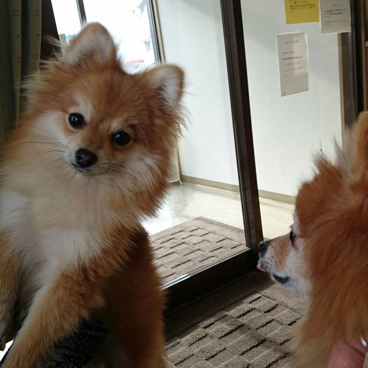 5874200d 8879 4121 8c1e 2462e63e398d