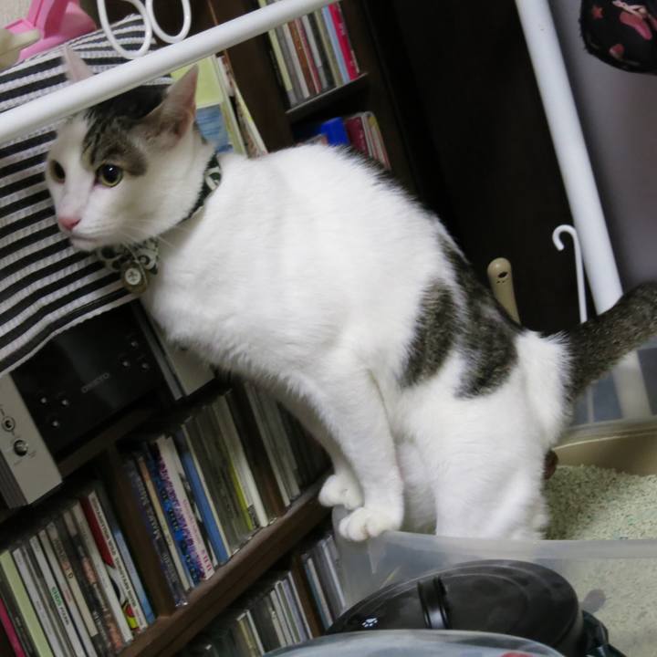 58744091 9860 469d 81f7 f51d1e269510