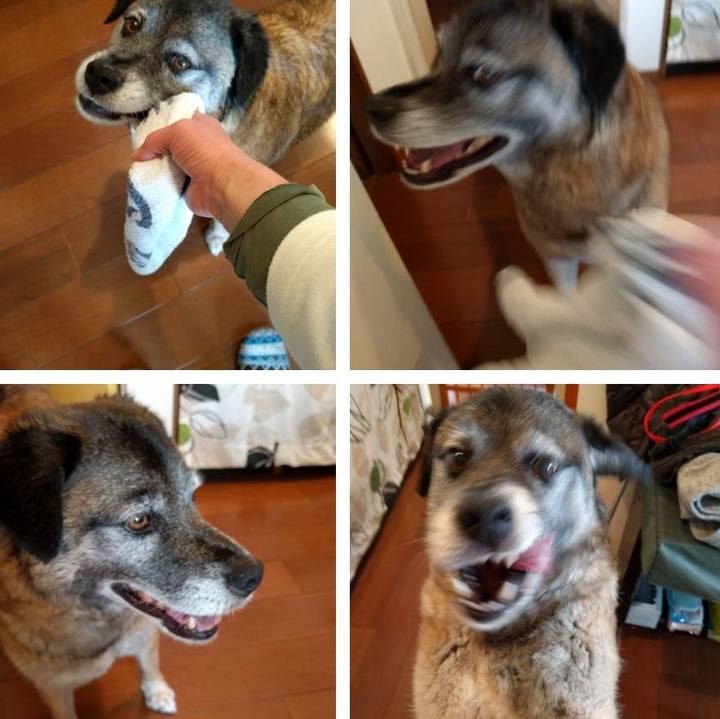 5874dbbe c49d 49ef acad 1181ac71471a