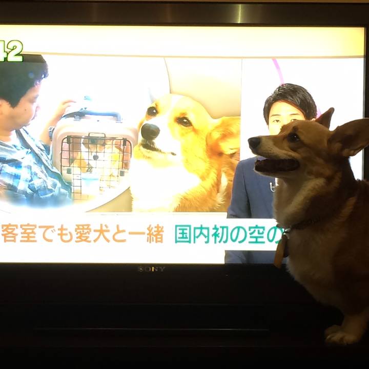 58753a18 45bd 40d2 ad81 d455356757eb