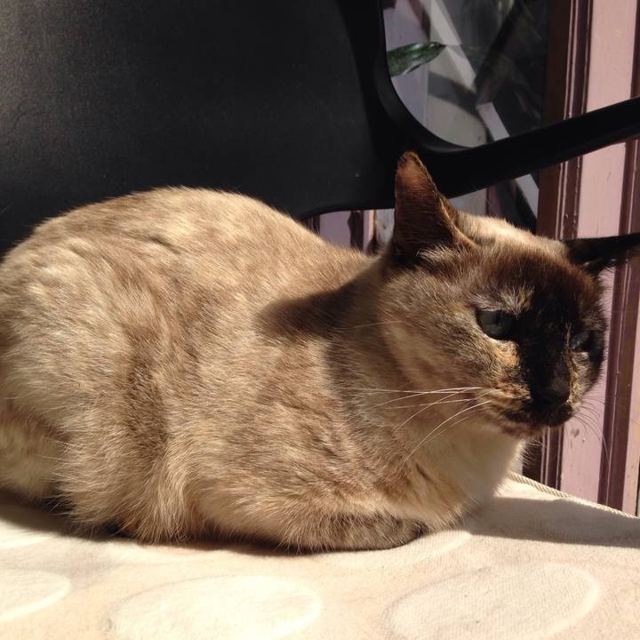 58754ec4 e557 4fb1 ae33 e5a9e9906b6d