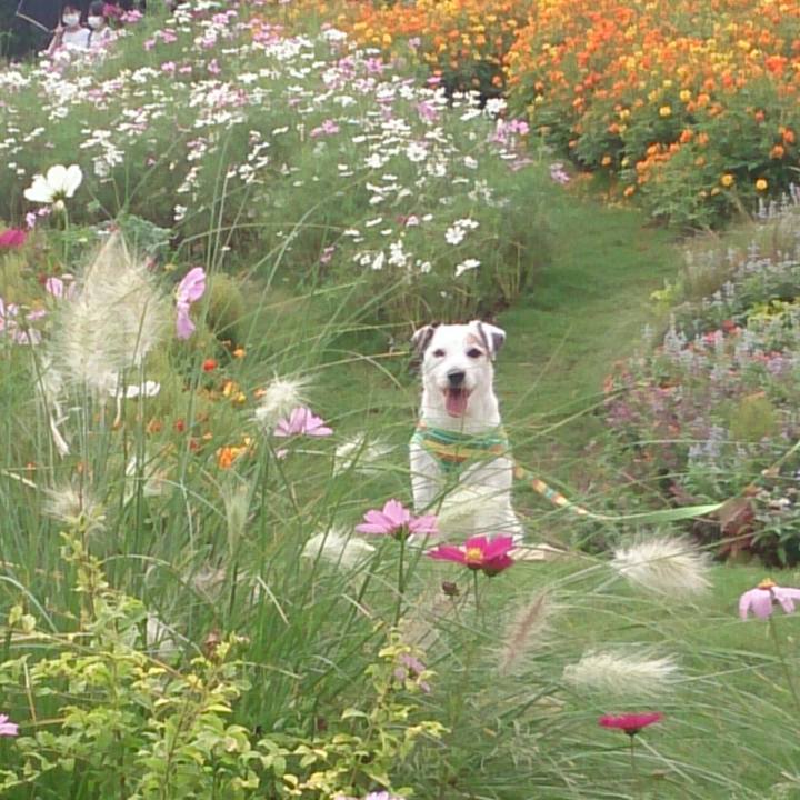 5875b975 f11c 4d3f aba5 21432d17eaca