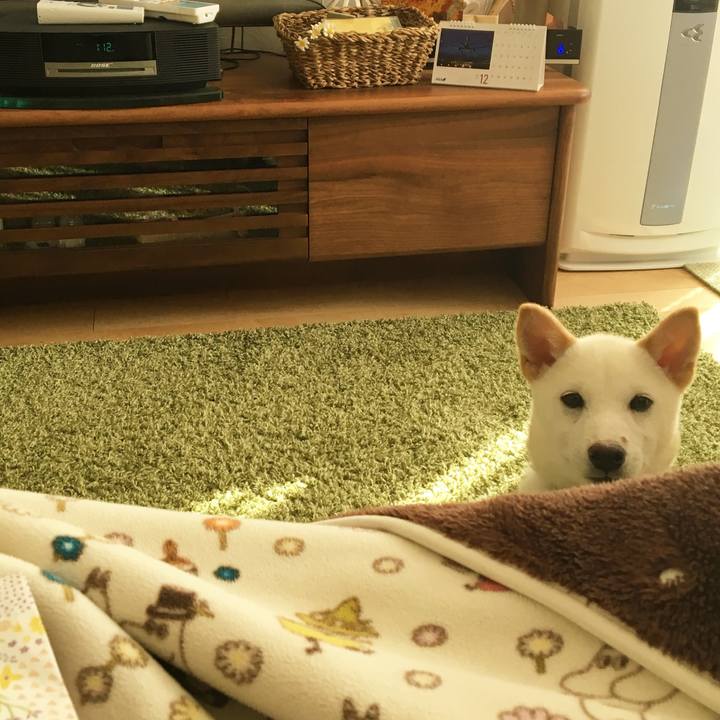 5875fa10 3fff 408d 93a8 97229bb428ca