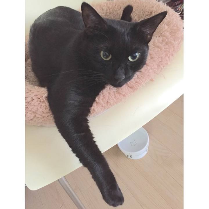 587686b5 e337 4e02 adc0 14fc38385f66