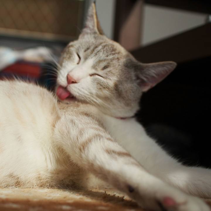 5876d506 9689 4348 8939 093872341833