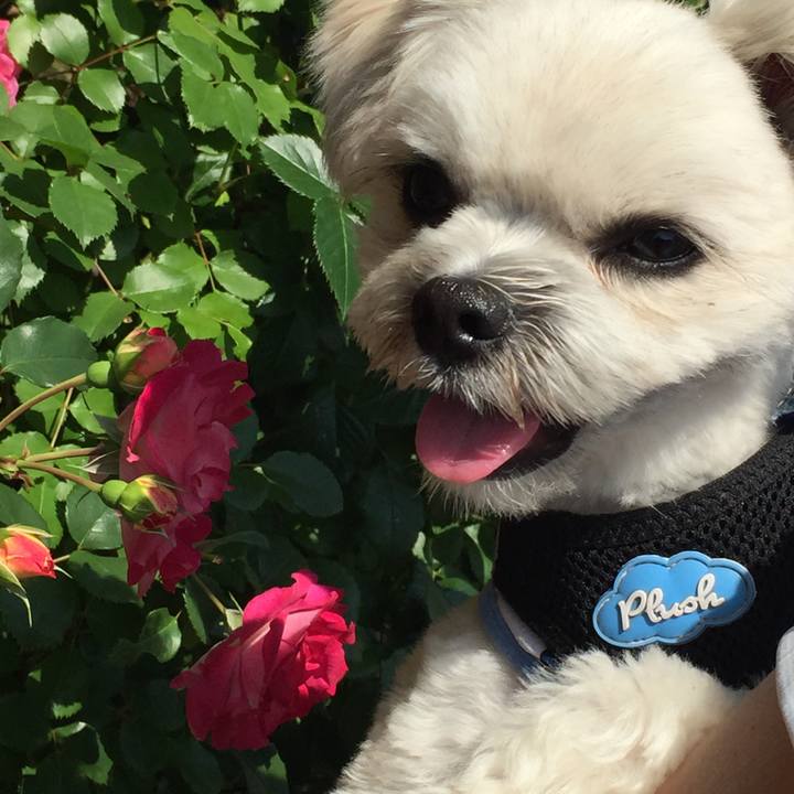 5878ca84 2d17 4989 aac1 564c5cc37699