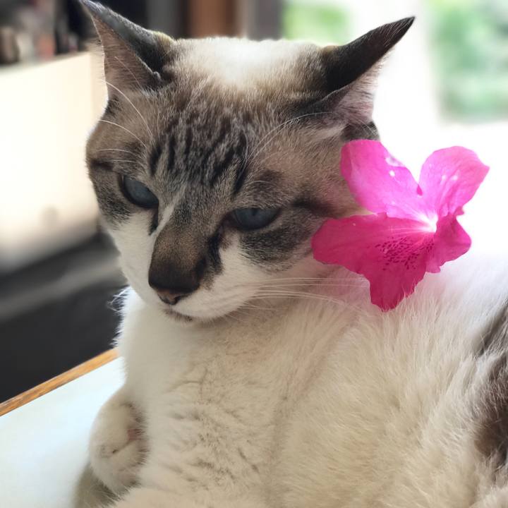 58797729 de39 4dfb ab9e b11272219109