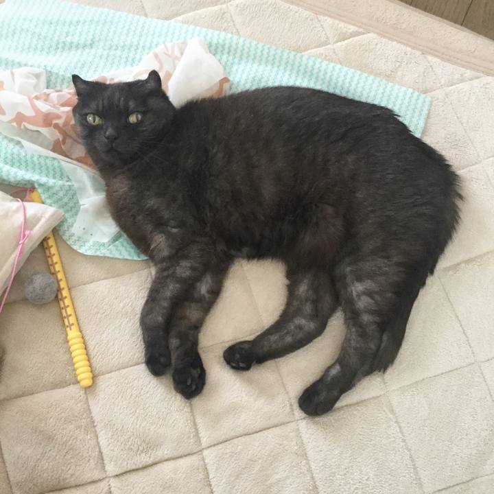 5879c8ac 7fa9 4152 b8cd 3a8f9aac9886