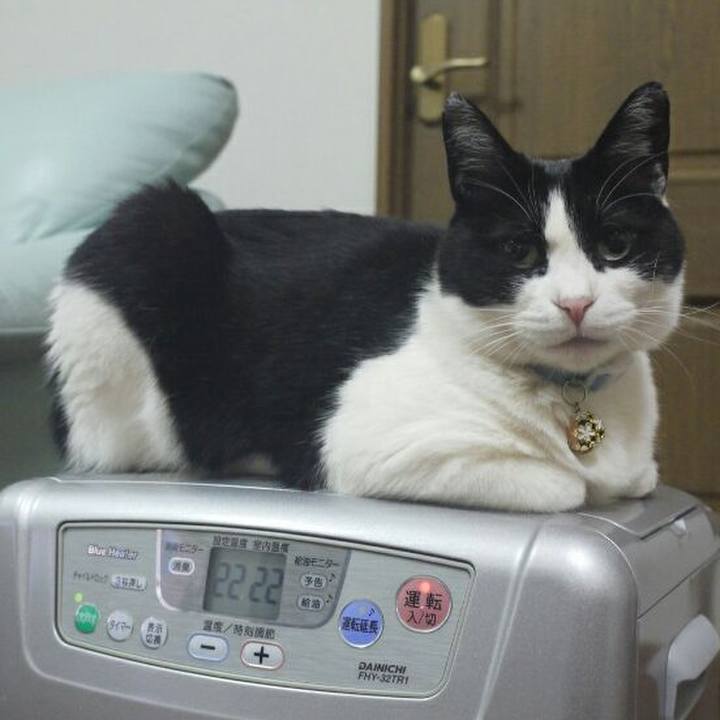 587a170d 1018 4972 a5ae 4585d984b1db