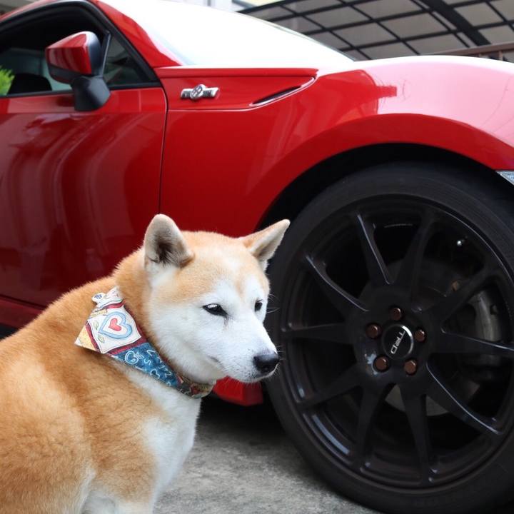 587a8303 7d25 4241 9b33 d9f1869bdc49