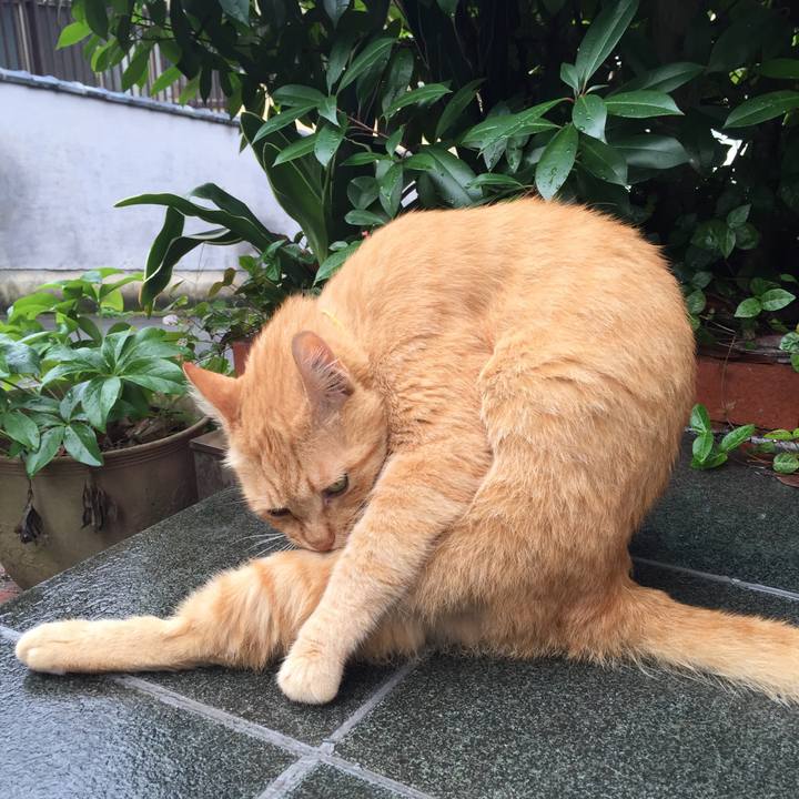 587a8da0 1663 42f8 84f9 580c891eb414