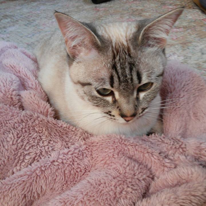 587b577b a265 4667 a900 053bc83ca078