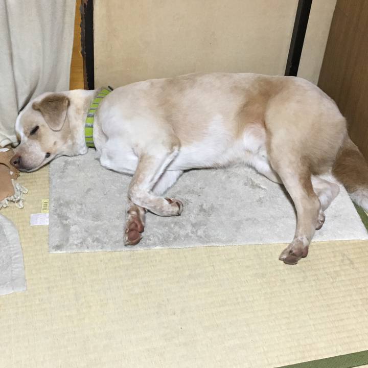 587bd753 cb2a 46bb 97a2 893852cb494b