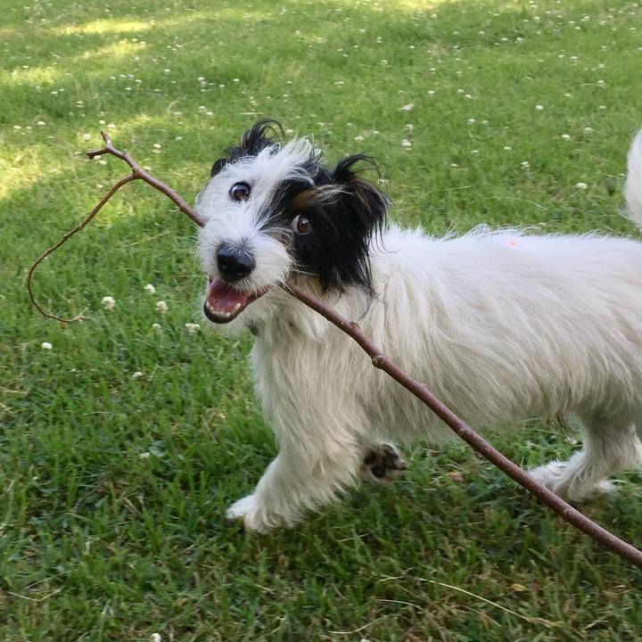 587c51b6 2c05 4ede 8d0f dbb973294a6e