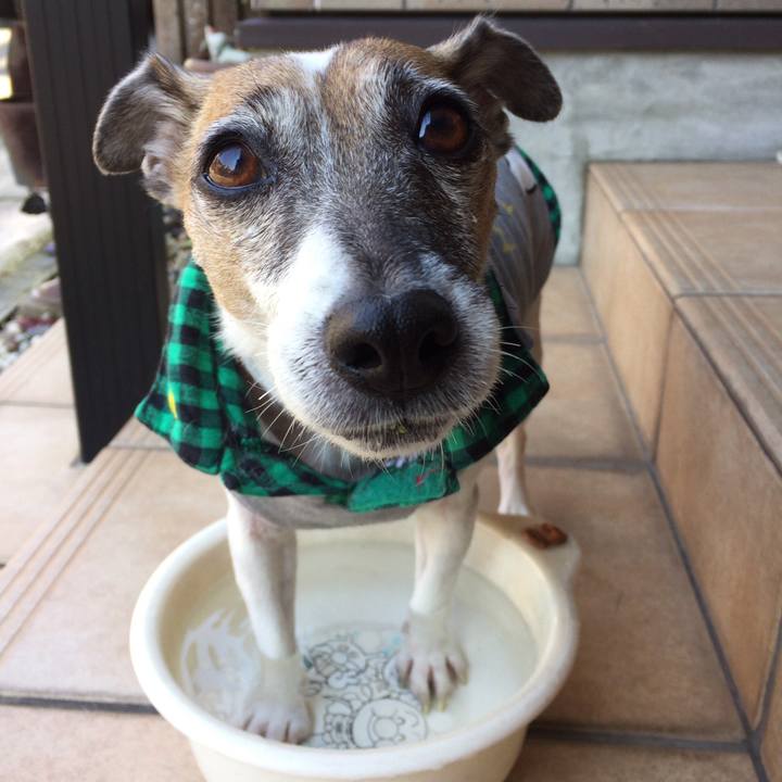 587d4335 bb4b 4317 95c6 e94a466f3a52