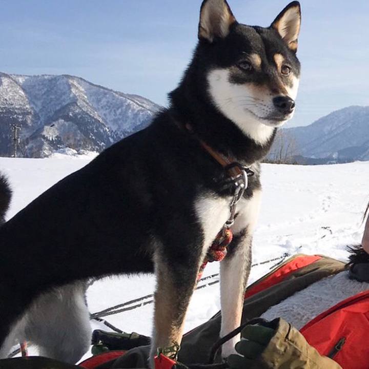 587d6736 9e57 4c59 875d f37ff07a43a6