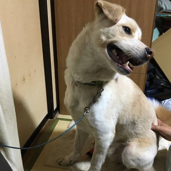 587e246a 6f05 4f6f a492 4fae484d2e25