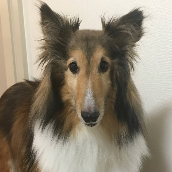 587e2b58 255a 43ab 8067 13412831fc76