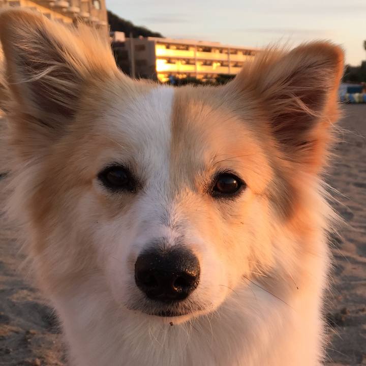 587eb4d8 3ff6 43a8 b3f9 c3cd1366a697