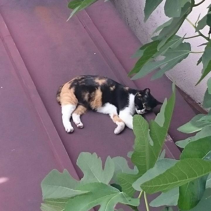 587ed6e1 1e4f 4959 abed ace370061402