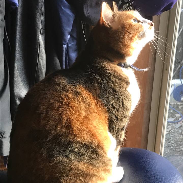 587f66f3 130d 446d 865c 65a11a865fef