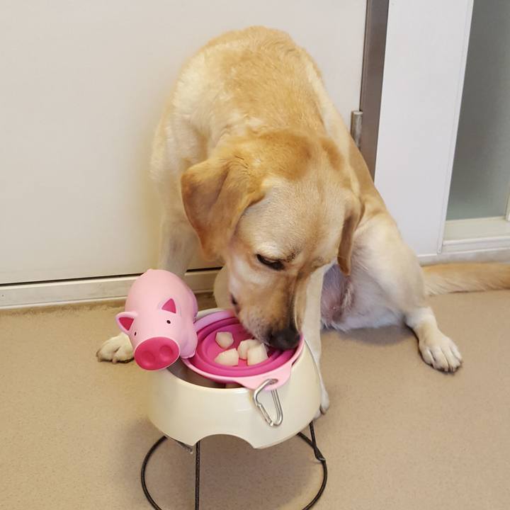 587faefd fb99 4fa1 a0a4 cc96ada03890