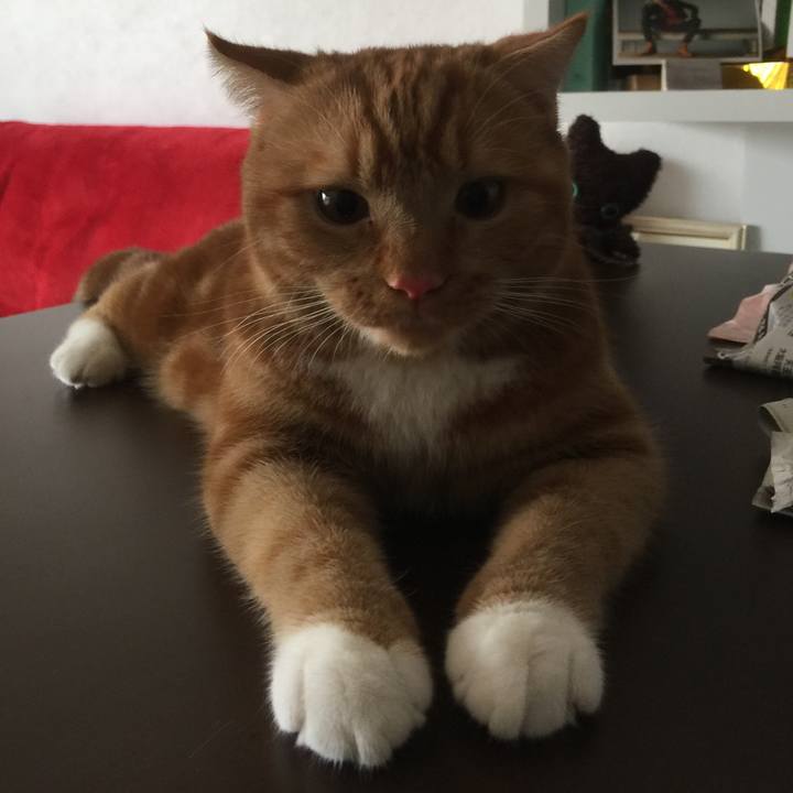 587fc321 0c3b 4182 81ea 07c96cbb1e4d