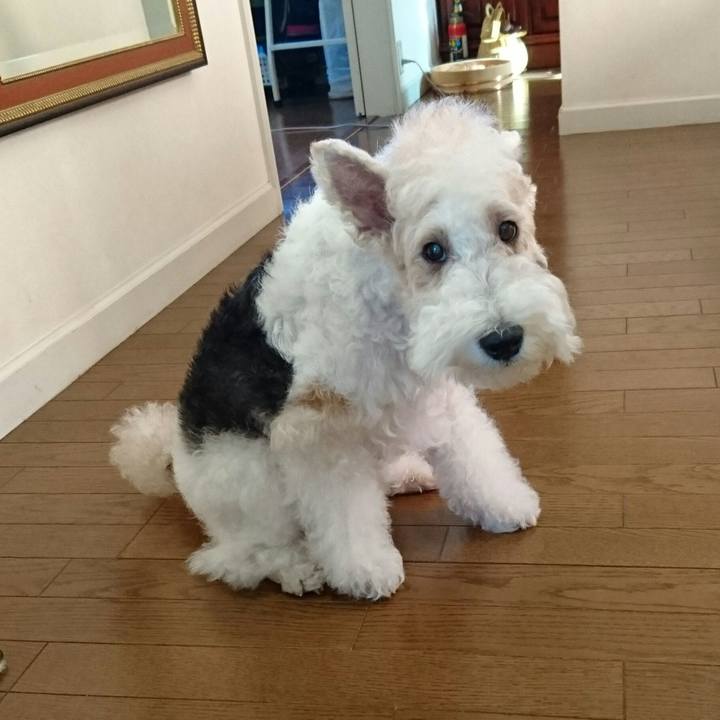 587fcb3c 9c5a 44a7 b71f 3c804762dbba