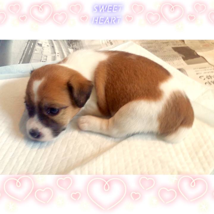 587fe09e 80be 4577 ae1b e155cc29efa7