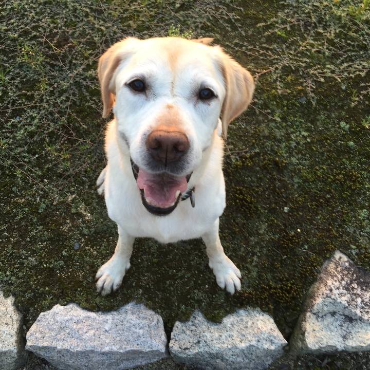 587fe7f7 46c3 4022 9472 bd0c4f5e1025