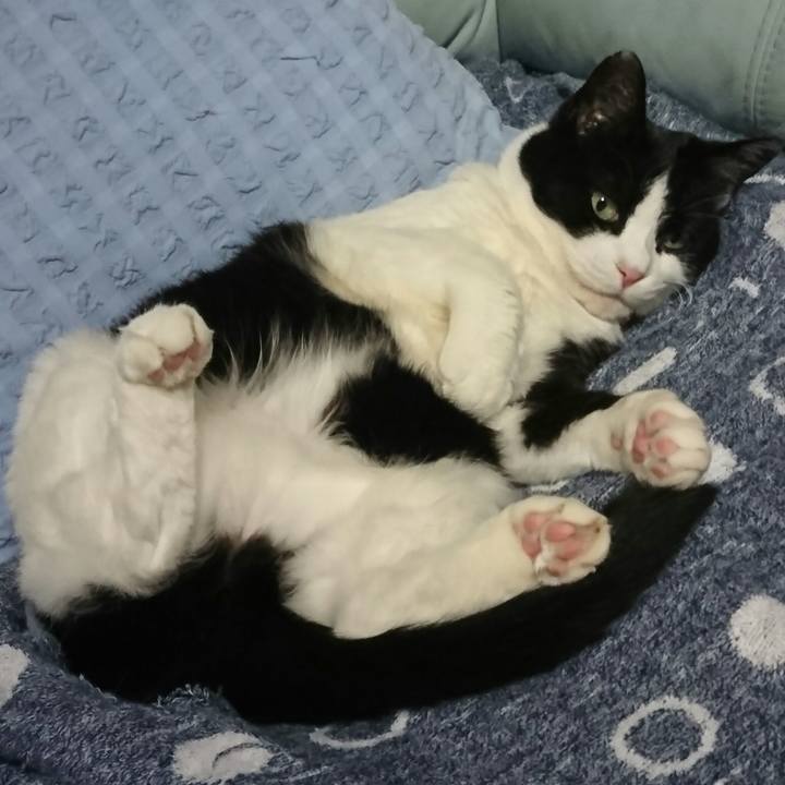 58806150 eb05 4769 bcc3 bafdaaffed74