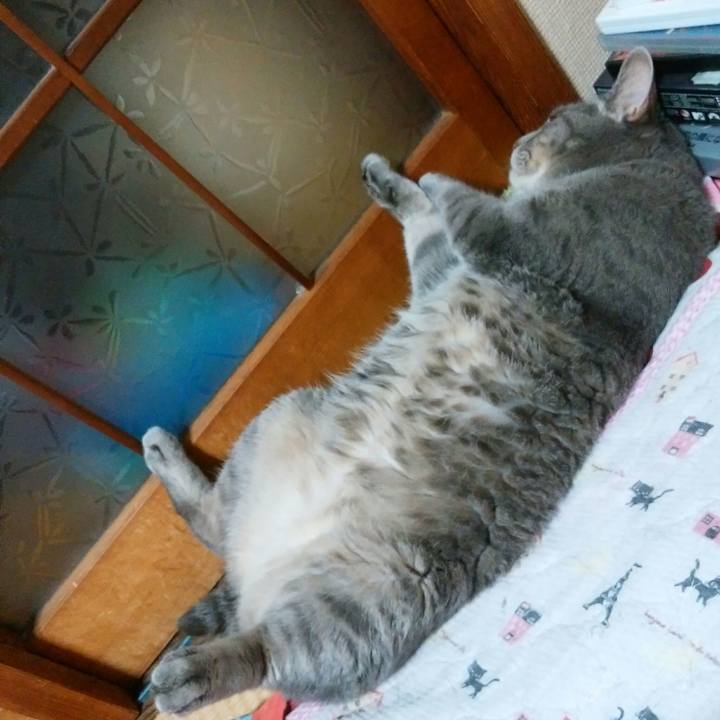 5880f29e cc6a 4ad3 81e2 6e25ca786e5a