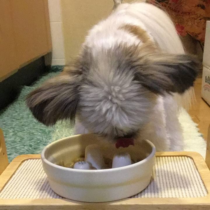 58813622 db3f 4534 9775 428560909f68