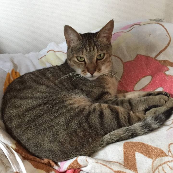 588136c1 53e2 4583 87f7 235ff64b5c62