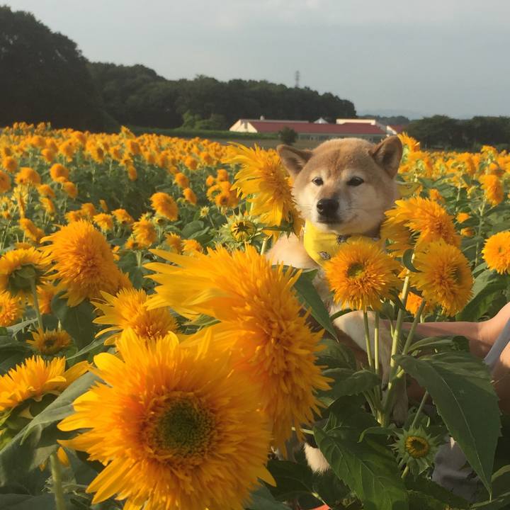 58819b74 aa98 49bf a3b5 56275ddfff33