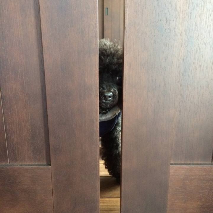 5881cf2b 4183 4d5a b6e1 063ef5d6fa42